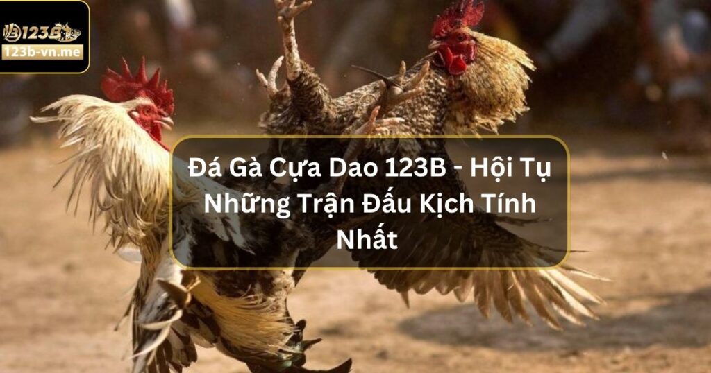 Đá Gà Thomo - Sân Chơi Chọi Gà Hấp Dẫn Nhất Tại 123B